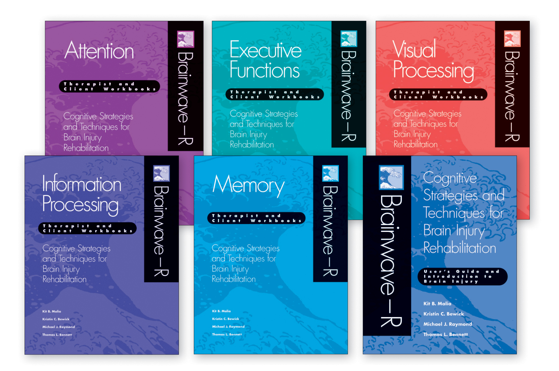 Brainwave-R: Cognitive Strategies and Techniques for Brain Injury Rehabilitation - 